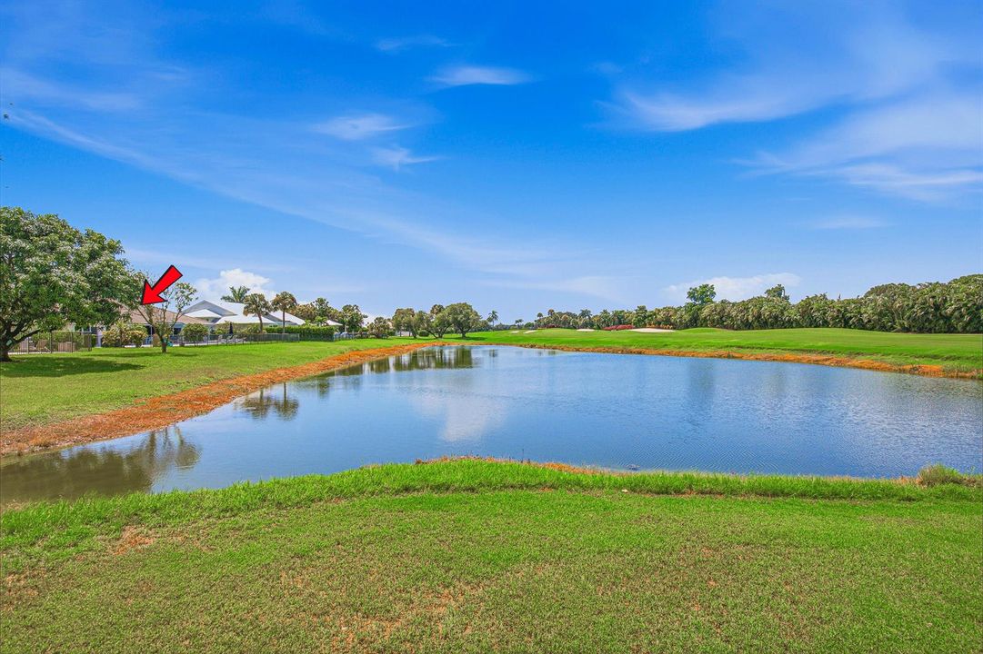 Back Home-Pond