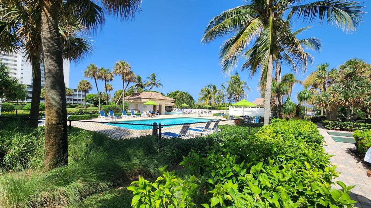 2 Pools & Hot Tub