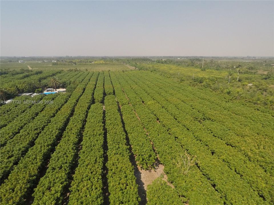 待售: $2,000,000 (10.00 acres)