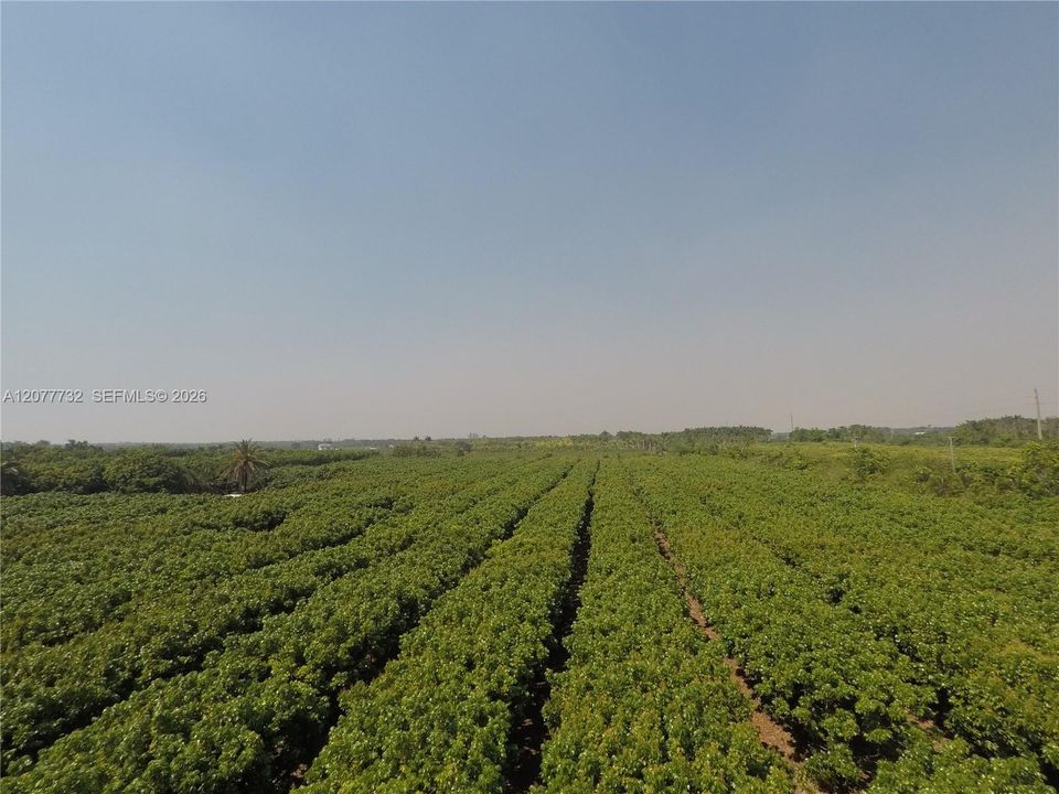 待售: $2,000,000 (10.00 acres)