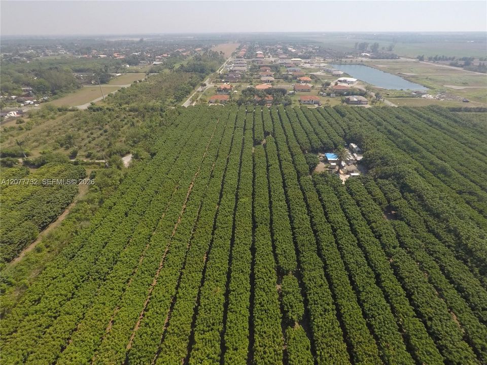 待售: $2,000,000 (10.00 acres)