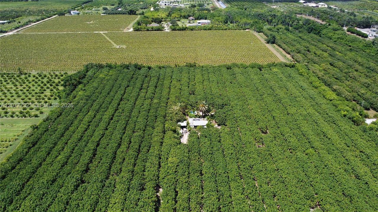 待售: $2,000,000 (10.00 acres)