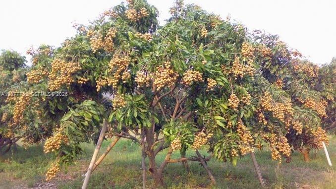 待售: $2,000,000 (10.00 acres)