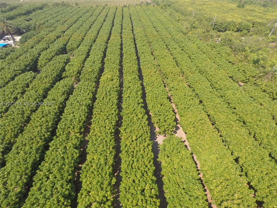 待售: $2,000,000 (10.00 acres)