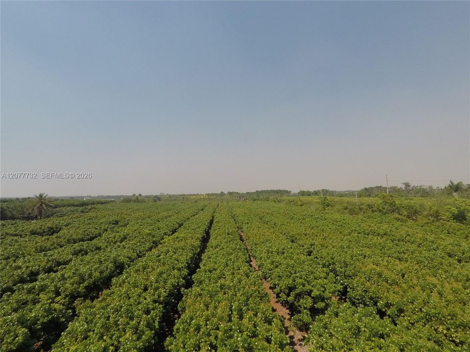 待售: $2,000,000 (10.00 acres)