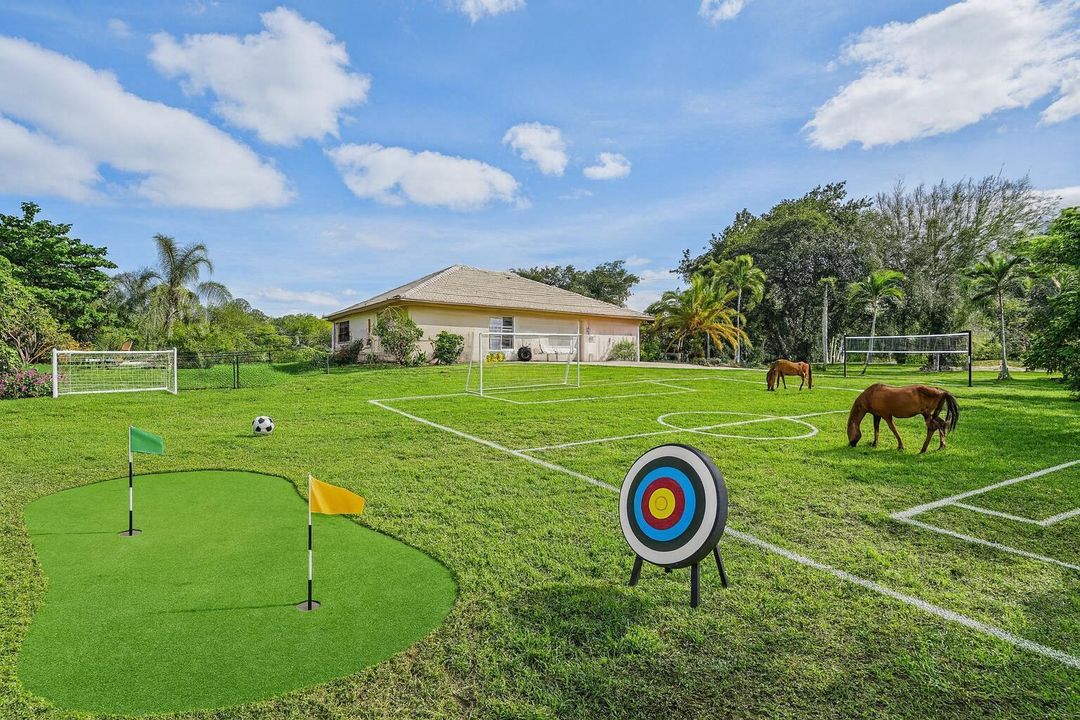 Spacious Backyard with Recreational Acti