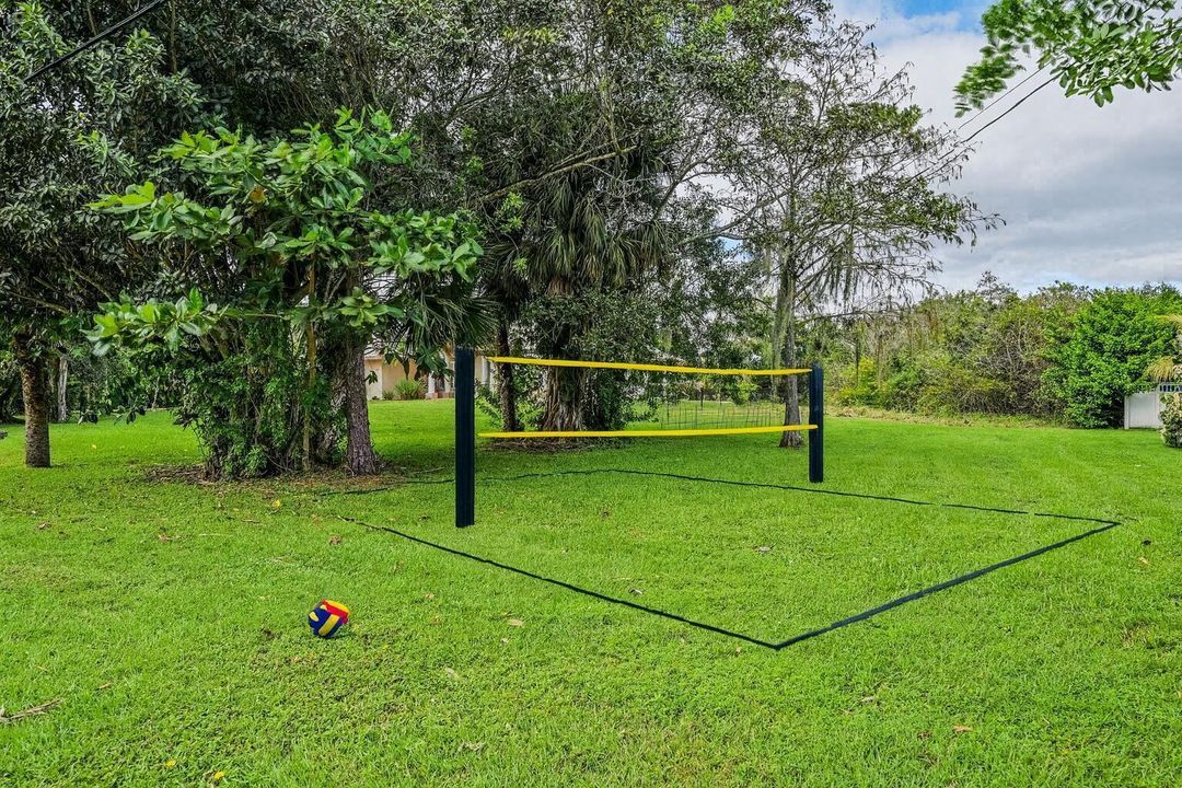 Volleyball Court in Lush Yard
