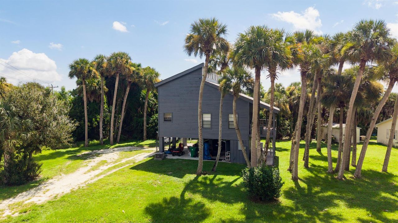 Sabal Palm Property-18