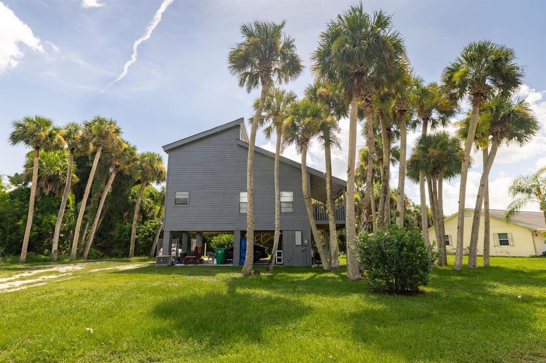 Sabal Palm Property-2
