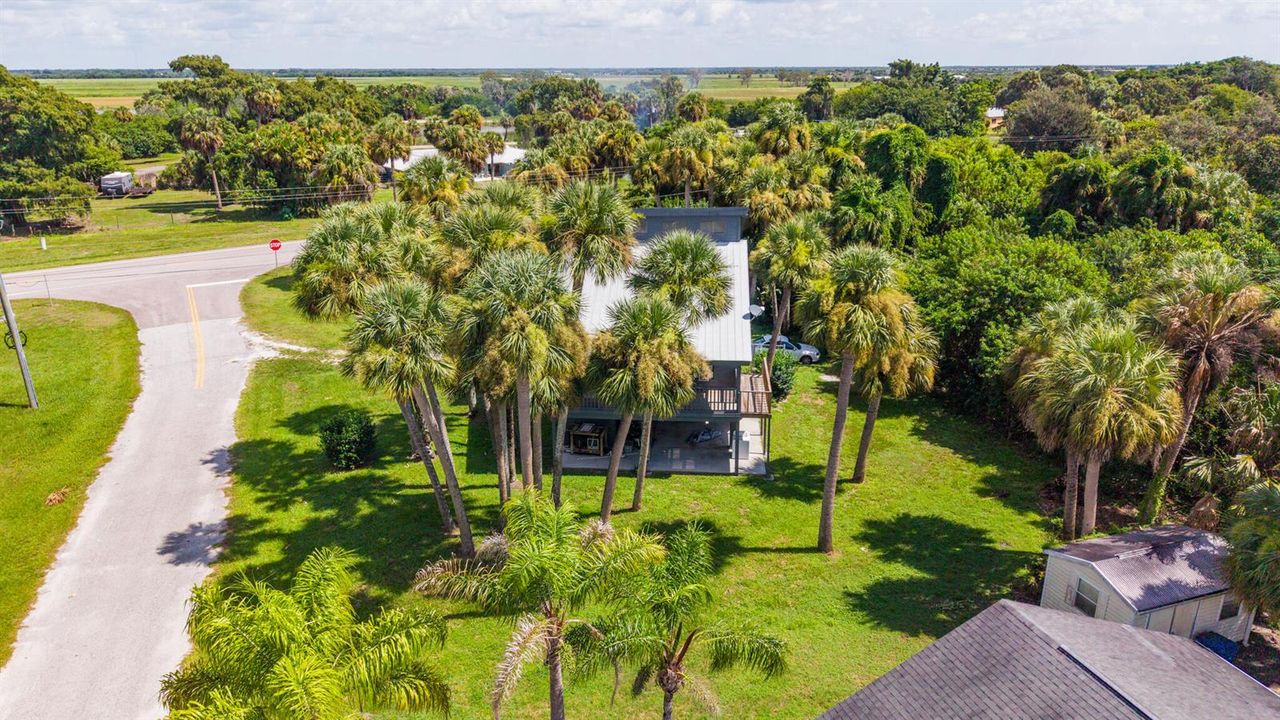 Sabal Palm Property-20
