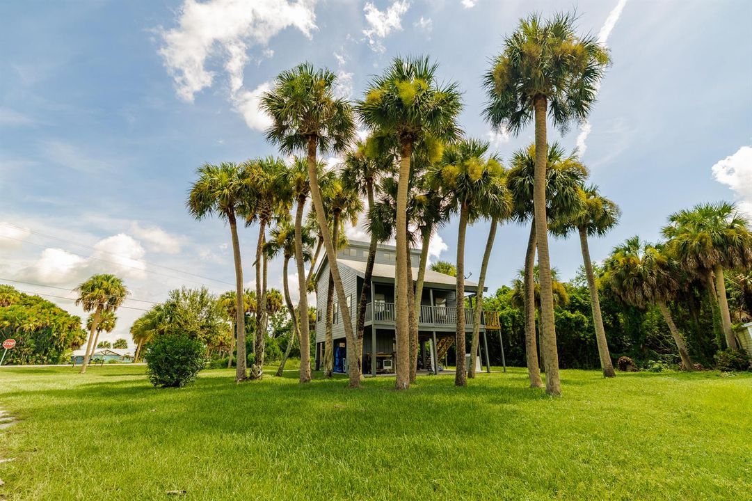 Sabal Palm Property-14