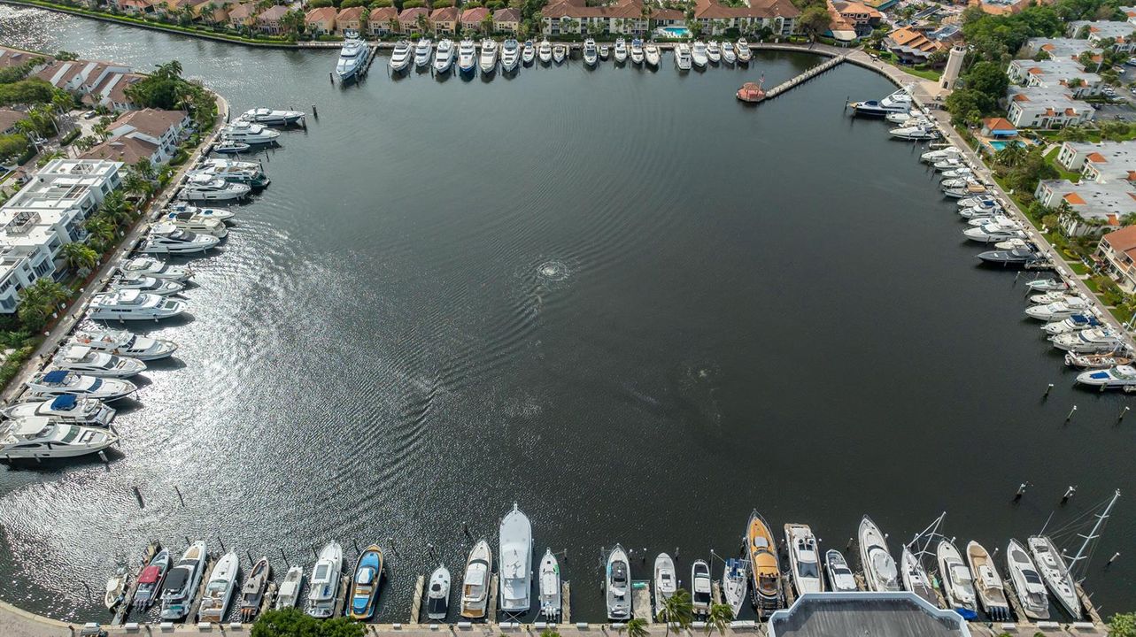 DJI_0673