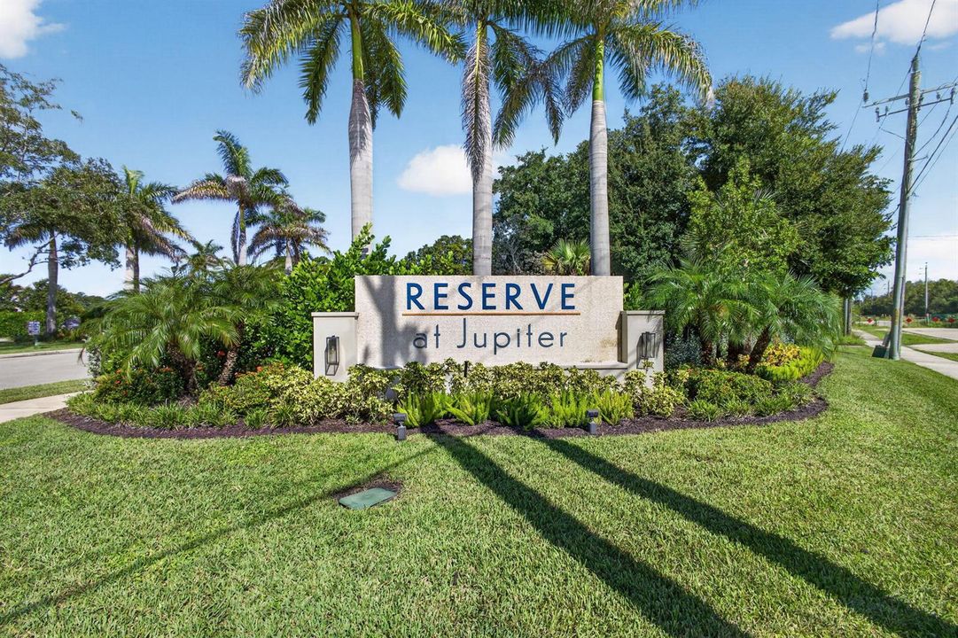51-web-or-mls-5D1A3437
