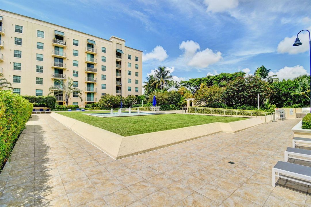 67-web-or-mls-36_610 clematis (9)