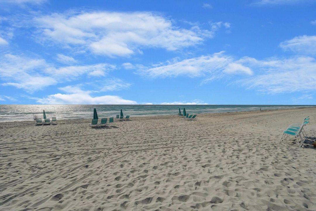 Ocean Beach