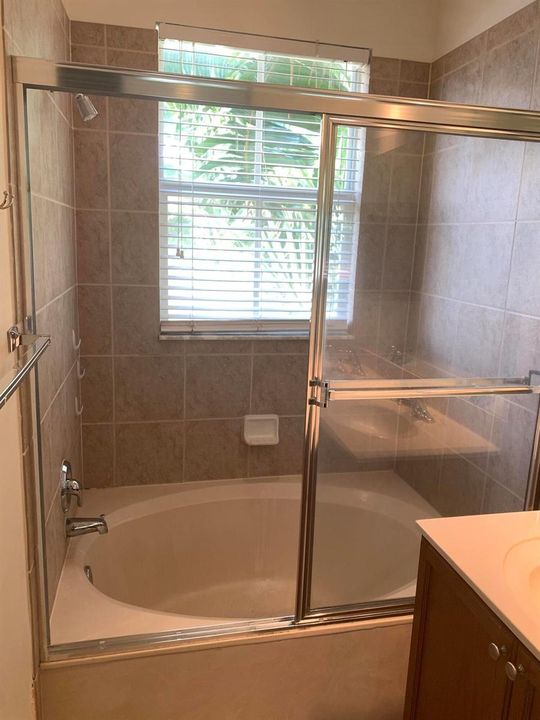 Master Bedroom Tub