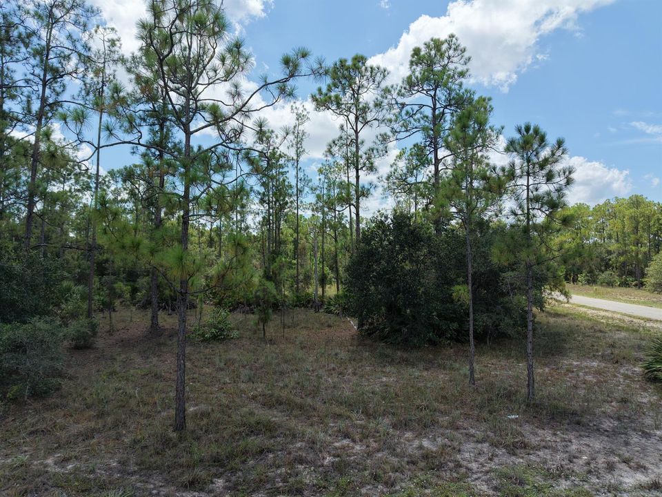 DJI_20260824125005_0031_D