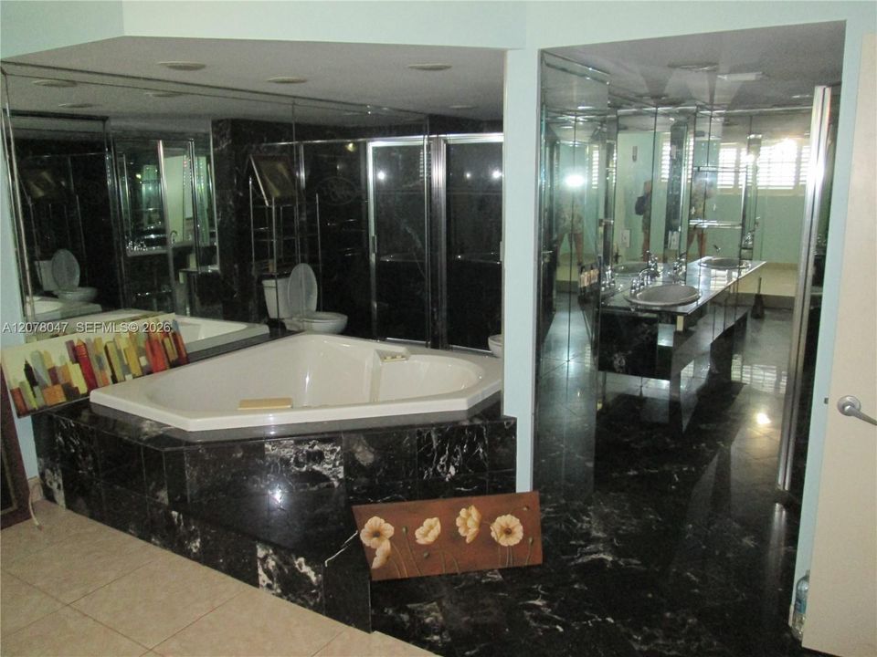 Master bathroom/spa tub