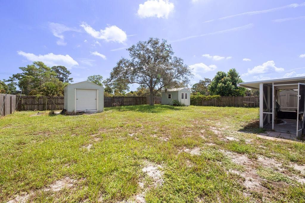 Backyard