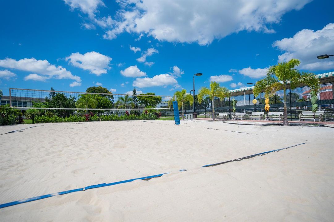 VOLLEYBALL-1