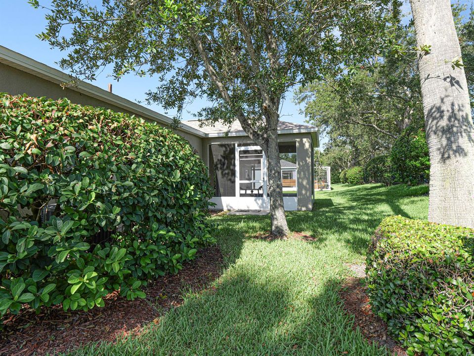 side yard