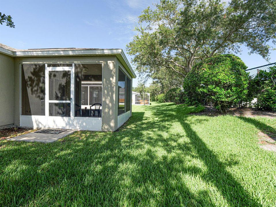 back yard