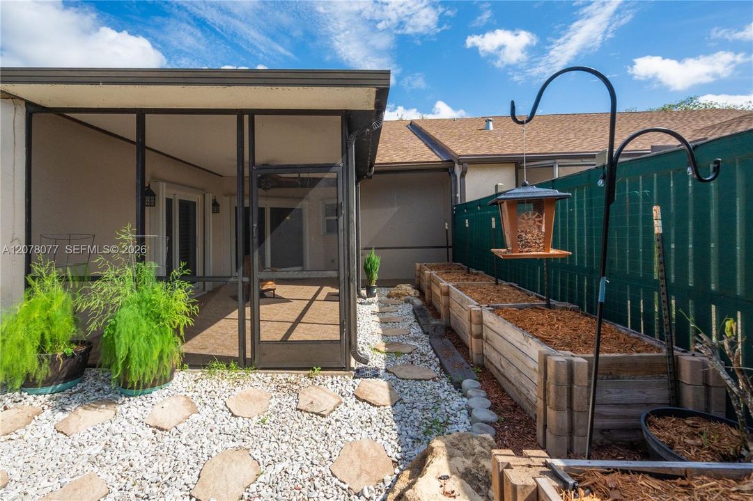 Backyard