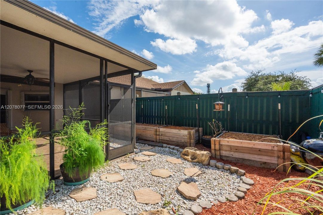 Backyard
