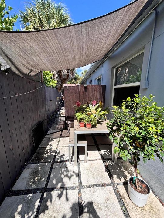 Backyard Patio