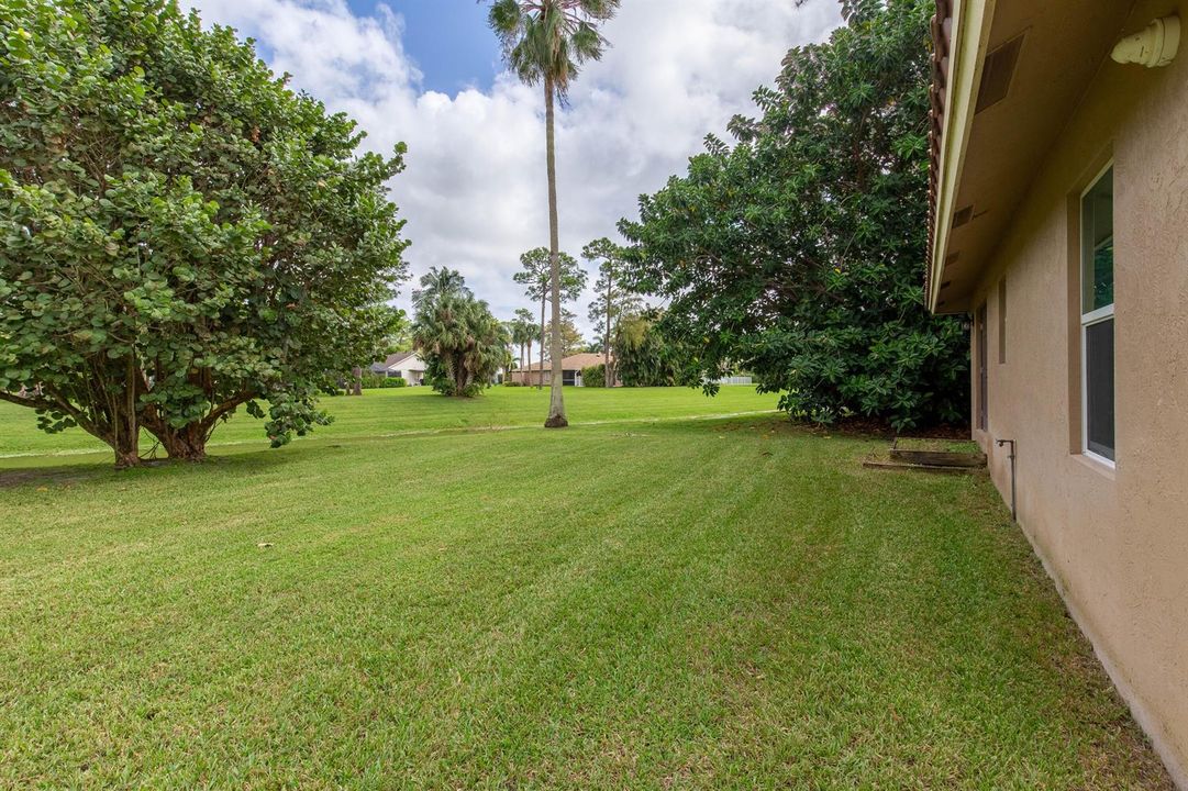 Side yard