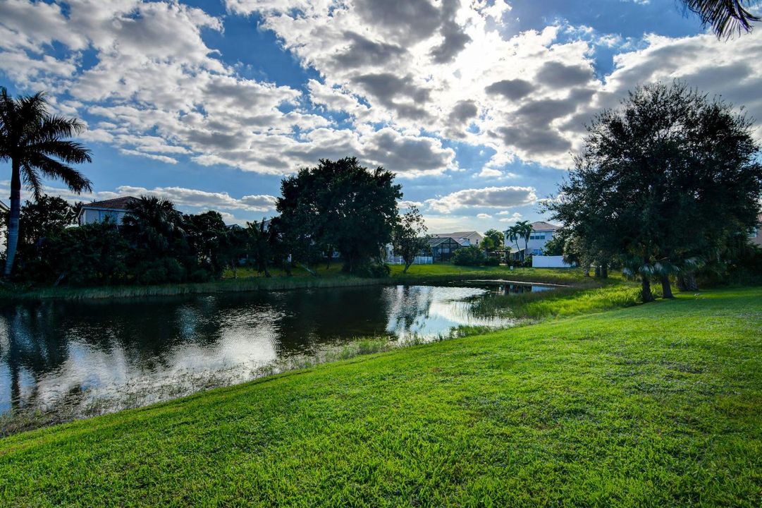 Lake view