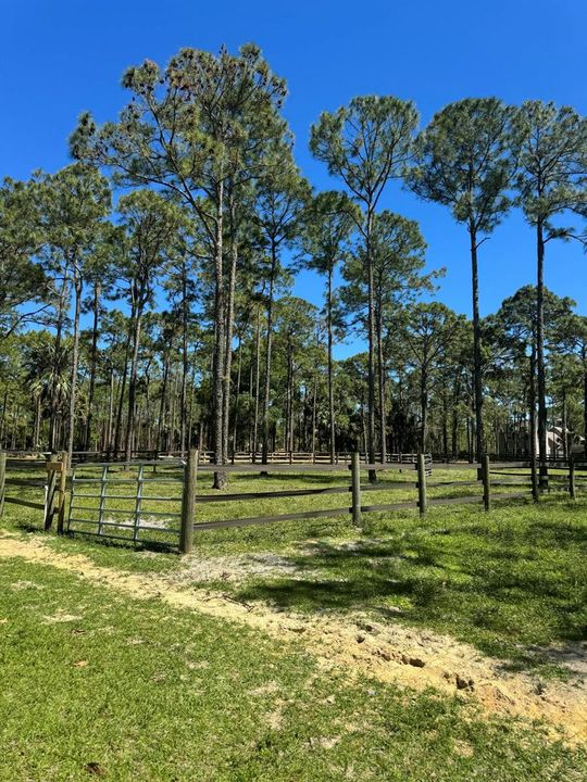 Paddocks