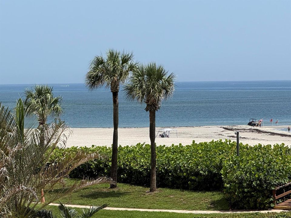 IMG_1338 beach