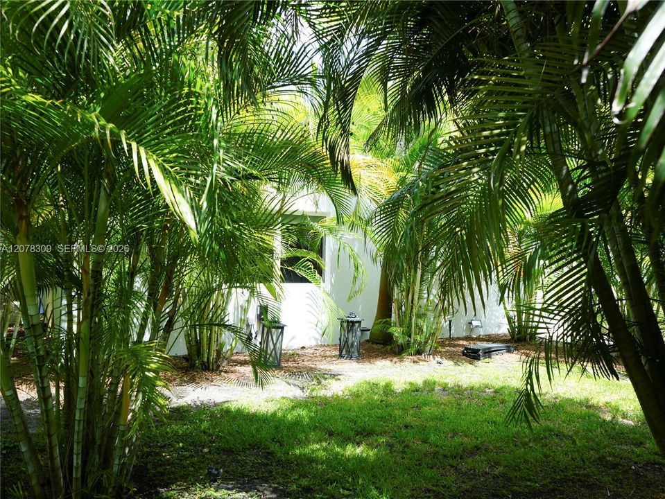 En Venta: $1,388,000 (3 camas, 3 baños, 0 Pies cuadrados)