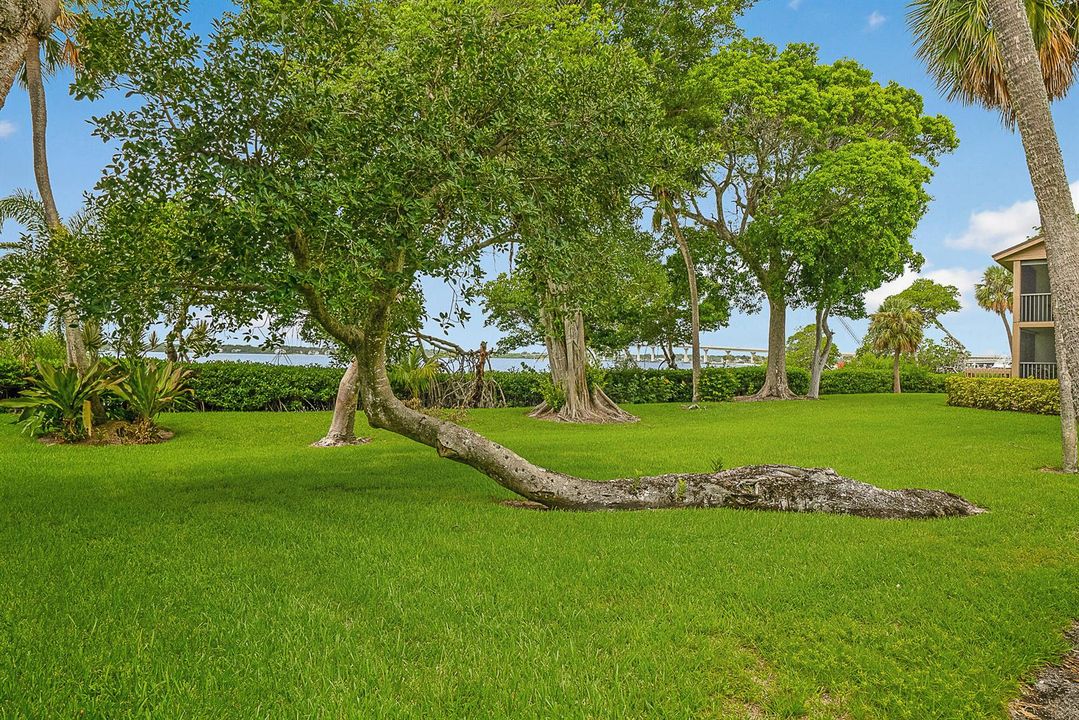 Grounds