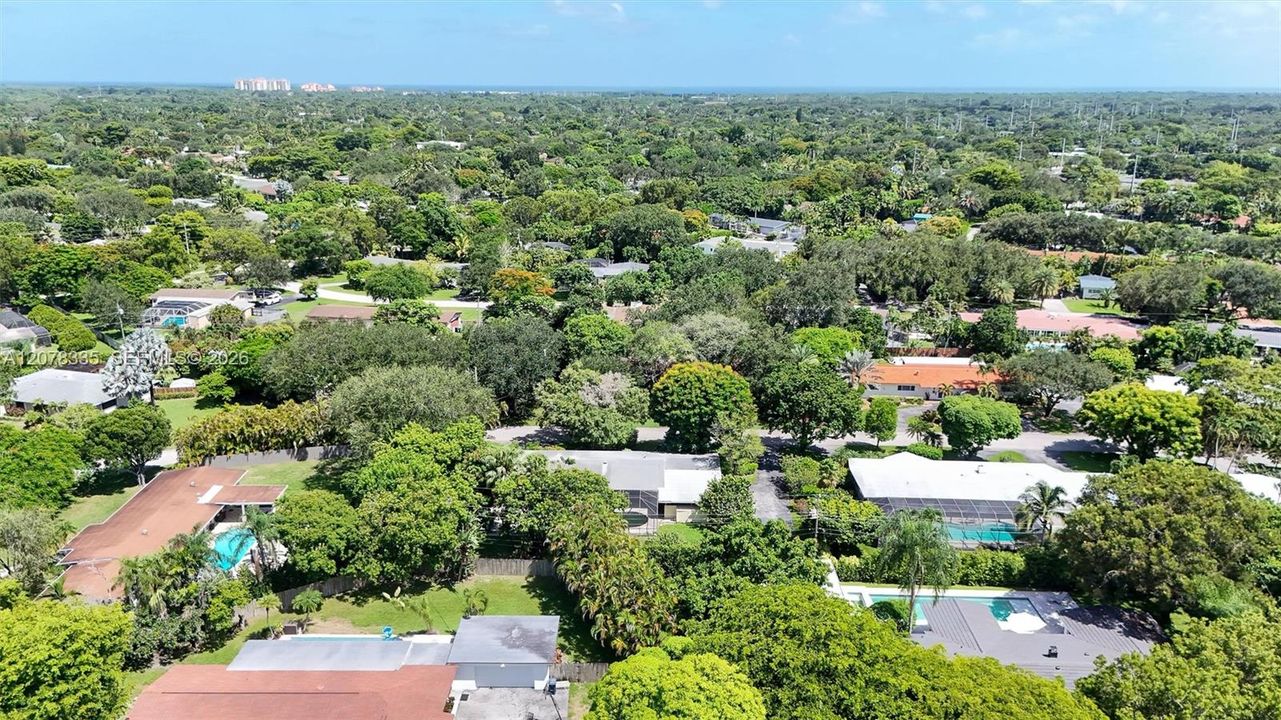 Aerial view showcasing the home nestled among mature trees in a desirable neighborhood.