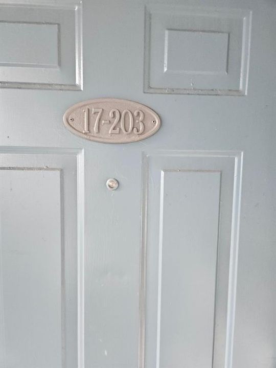 741 LYONS 203 FRONT DOOR