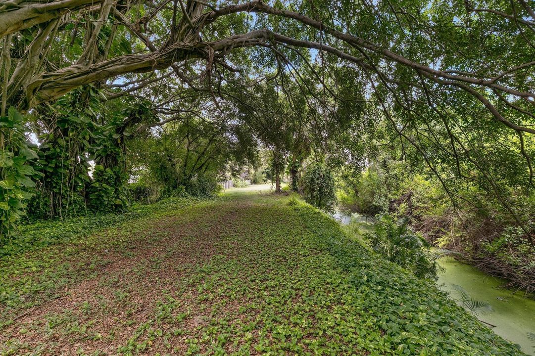 Rear Trail 2