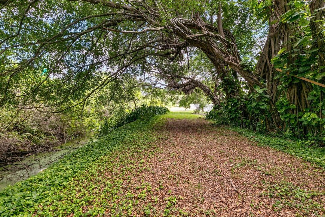 Rear Trail 1