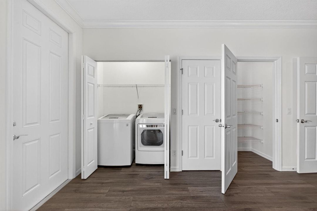 23-web-or-mls-5D1A3872