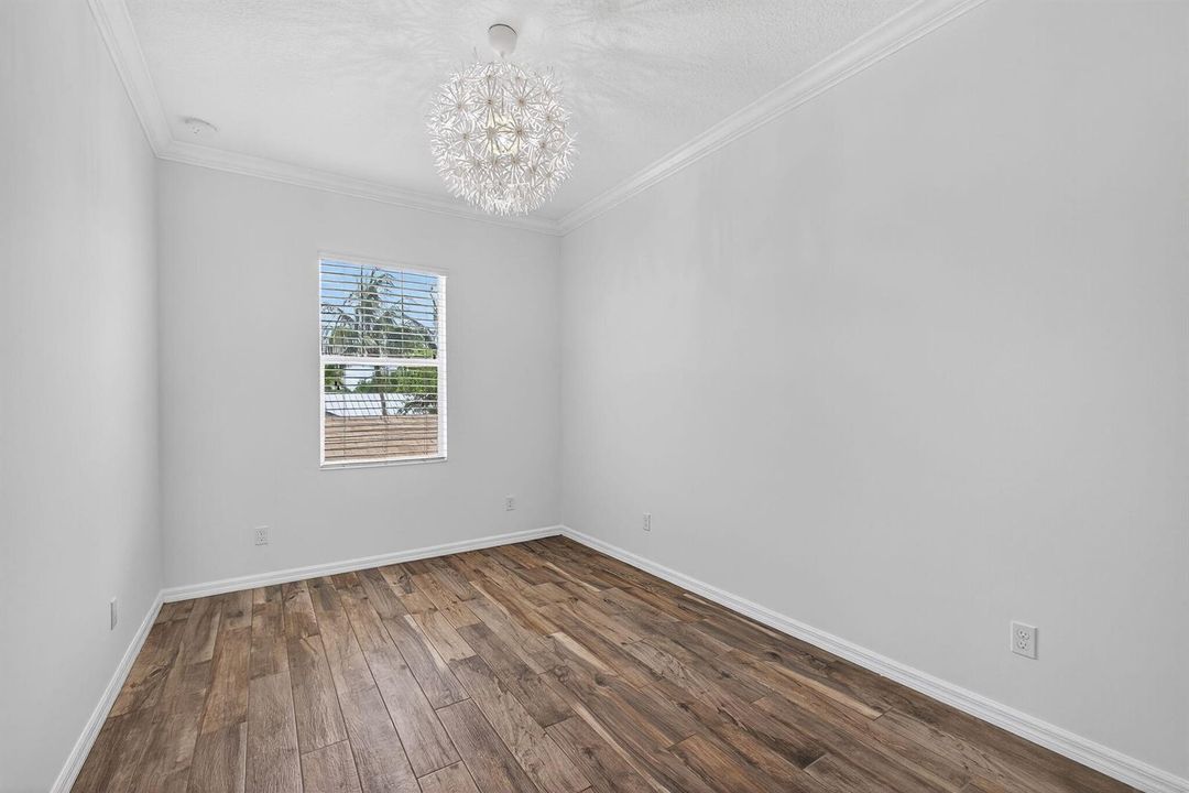 35-web-or-mls-5D1A3937