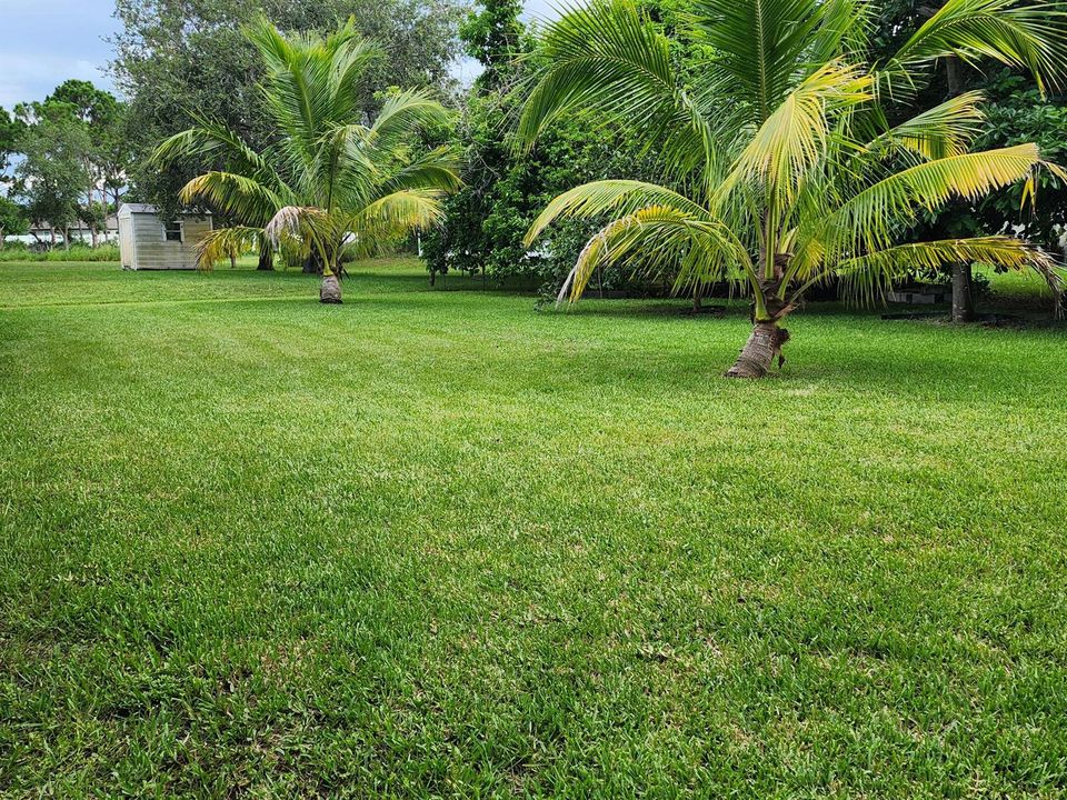 Yard