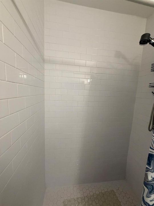 Master Shower