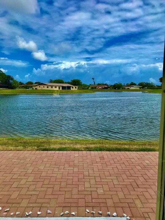 back patio view