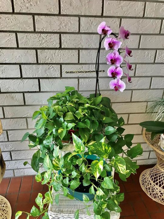 Front patio