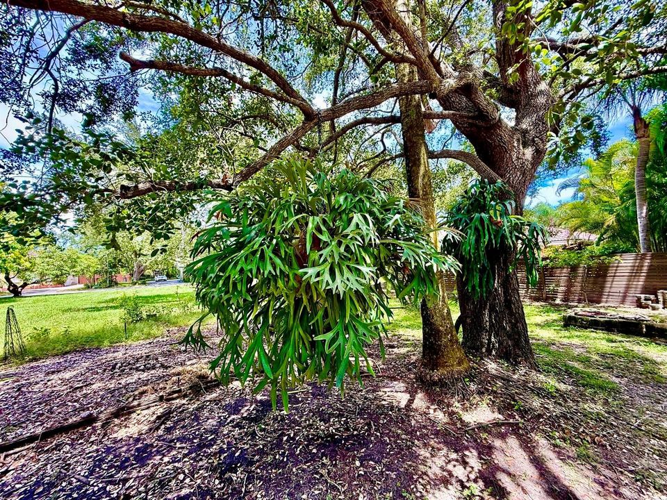 DP-7940 SW 166th St-21