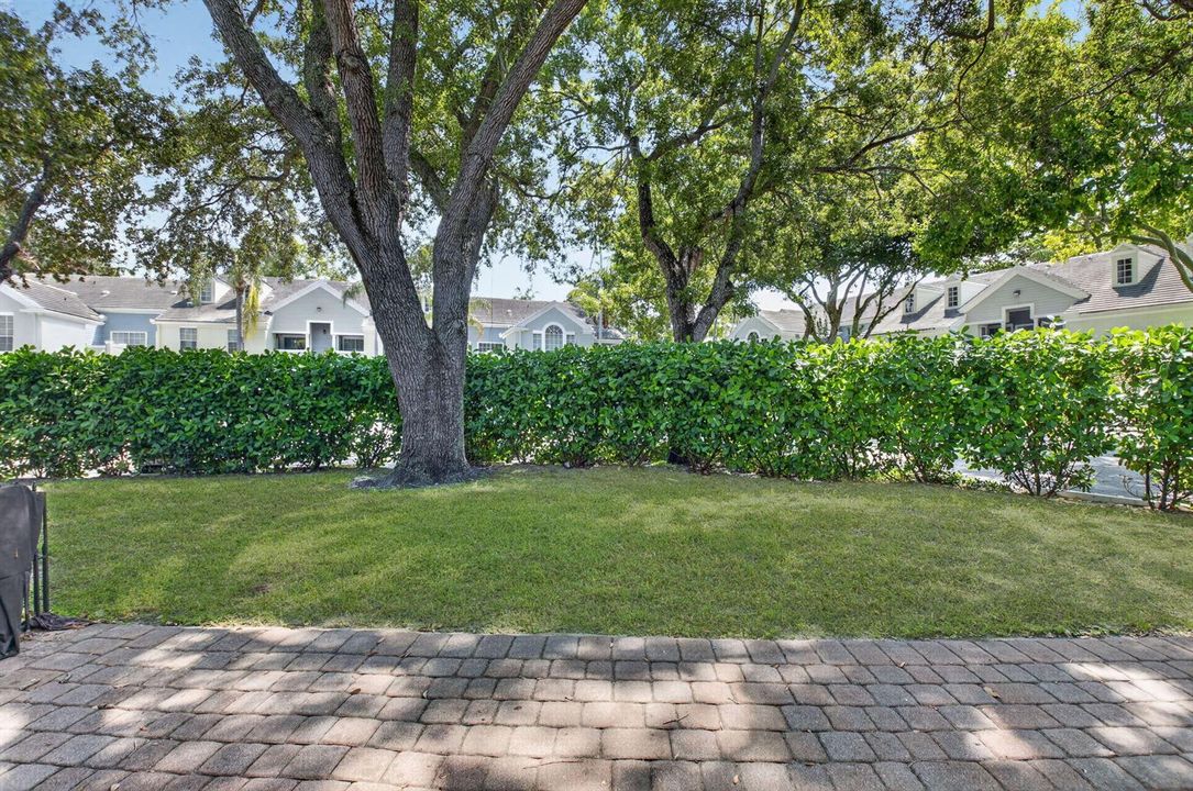 patio/yard