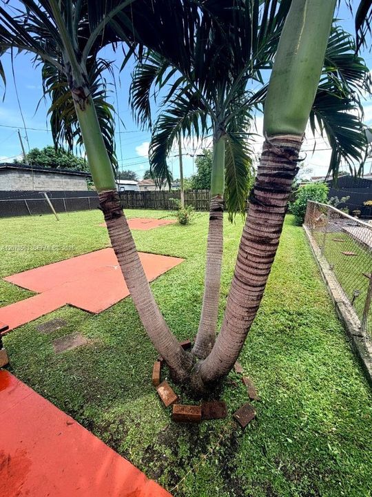 En Venta: $625,000 (4 camas, 2 baños, 1680 Pies cuadrados)