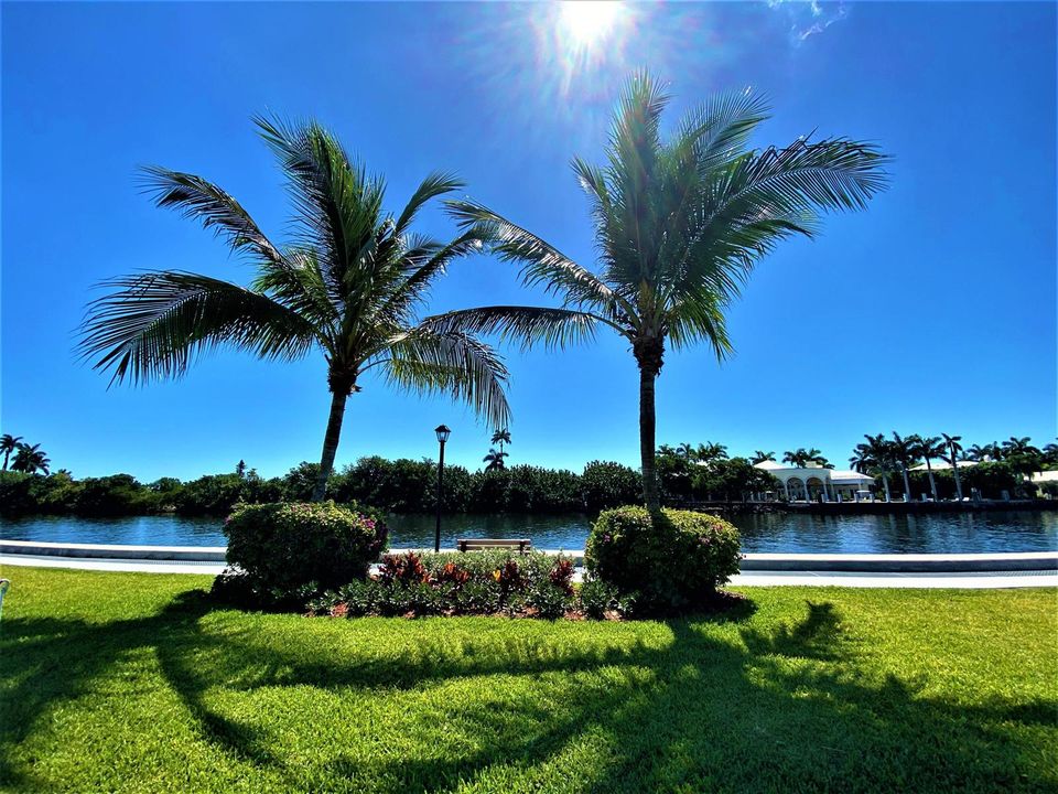 Benches Along The Water