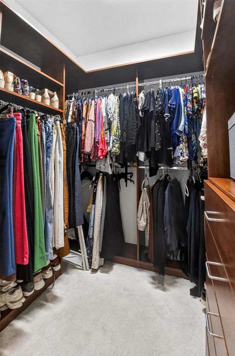 Custom Outfitted Closet